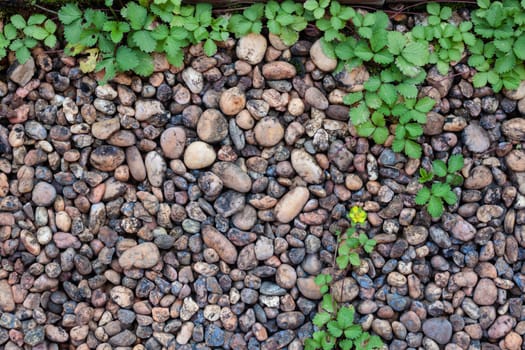 Pebble stones and bricks abstract background, stock photo