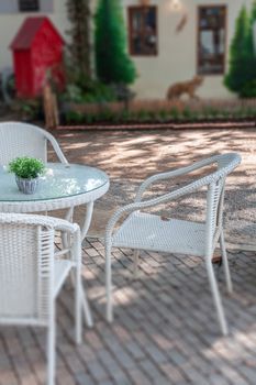 Garden decorated in coffee shop, stock photo