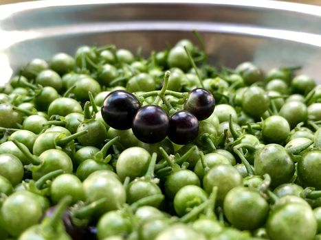 Wonder berry fruits are kept in the clusters before cooking in a plate