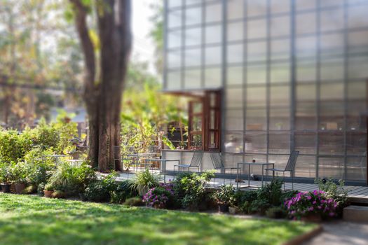 Garden decorated in coffee shop, stock photo