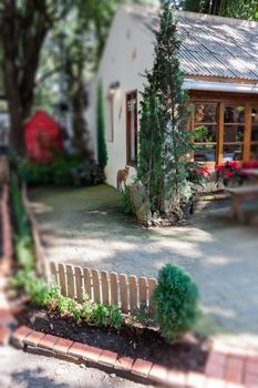 Garden decorated in coffee shop, stock photo