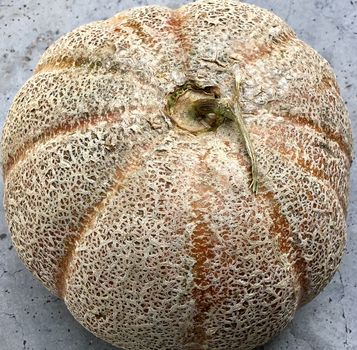 Musk melon fruit kept for sale in the market during summer season