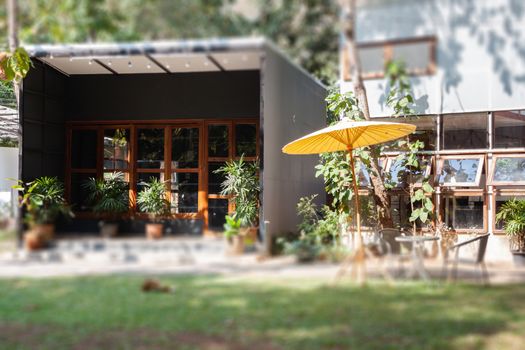 Garden decorated in coffee shop, stock photo