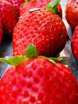 Beautiful view of red color strawberry fruit kept for sale in the market
