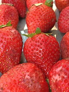 Beautiful view of red color strawberry fruit kept for sale in the market