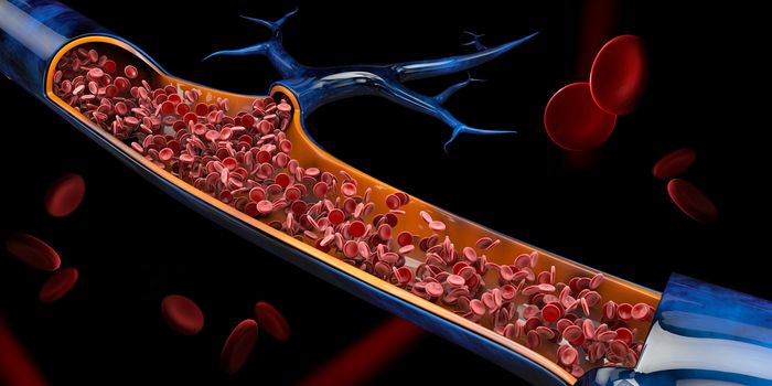 3d Illustration of red blood cells in vein