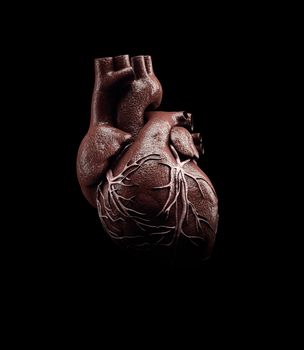 3d Illustration of Anatomy of Human Heart Isolated on black.