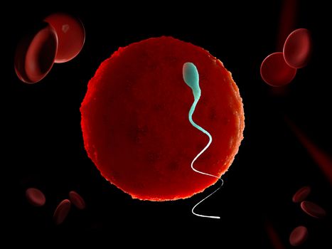 Sperm and egg cell. Natural fertilization. 3d illustration on black background.