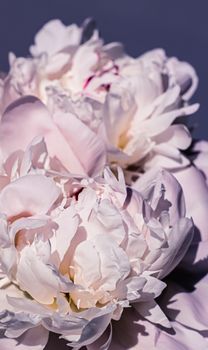 Peony flowers as luxury floral art background, wedding decor and event branding design