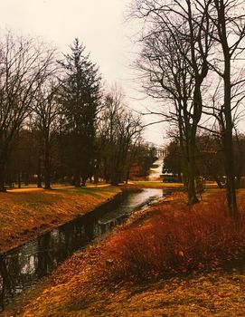 Autumn nature in park, fall leaves and trees outdoors, beautiful season