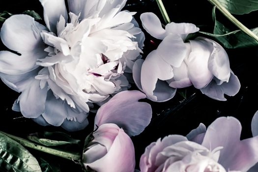 Pastel peony flowers as floral art background, botanical flatlay and luxury branding design