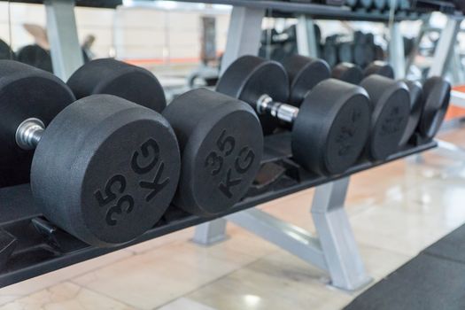 row of dumbbells in a modern gym