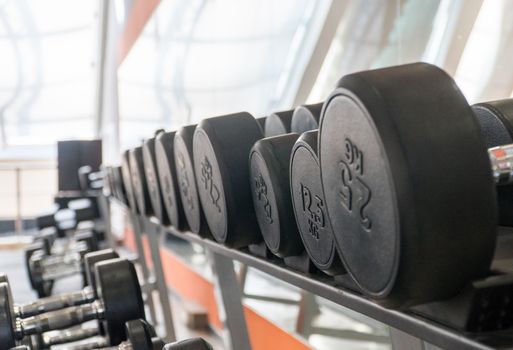 row of dumbbells in a modern gym