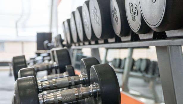 row of dumbbells in a modern gym