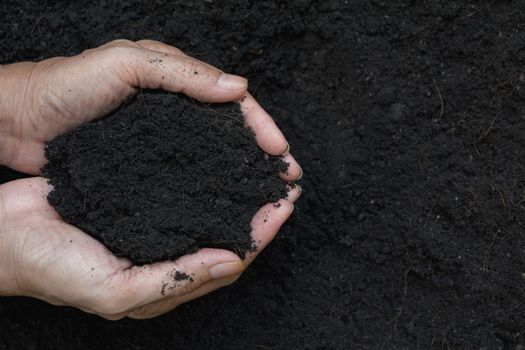Hand of male holding soil in the hands for planting.