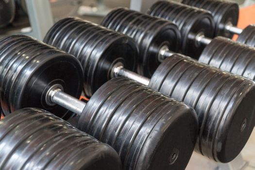 row of dumbbells in a modern gym