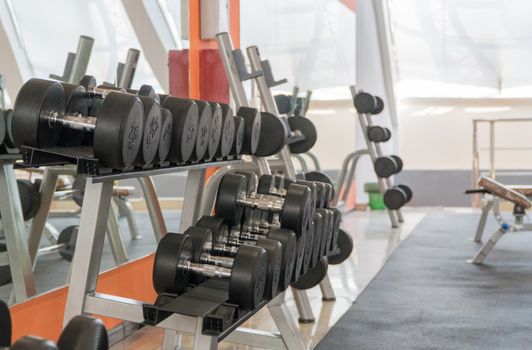 row of dumbbells in a modern gym