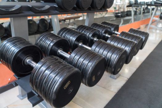row of dumbbells in a modern gym