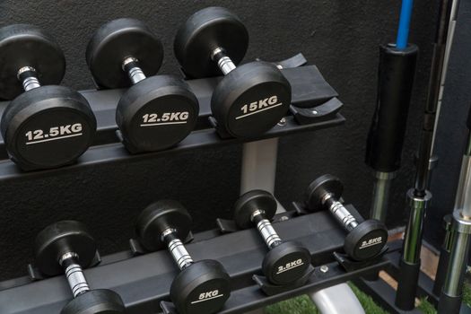 row of dumbbells in a modern gym