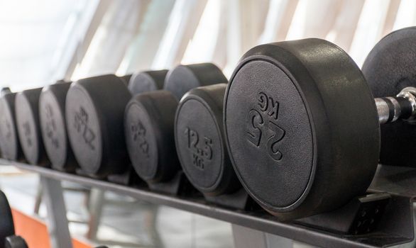 row of dumbbells in a modern gym