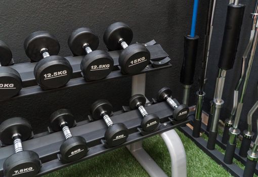 row of dumbbells in a modern gym
