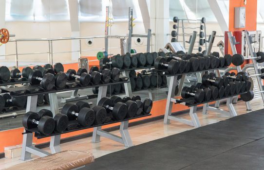 row of dumbbells in a modern gym