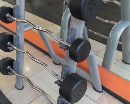 sports equipment and barbells in the gym