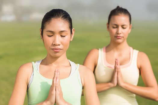 Peaceful sporty women doing yoga in parkland