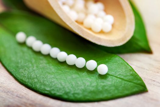 Macro close of Homeopathic pills on green leaf.