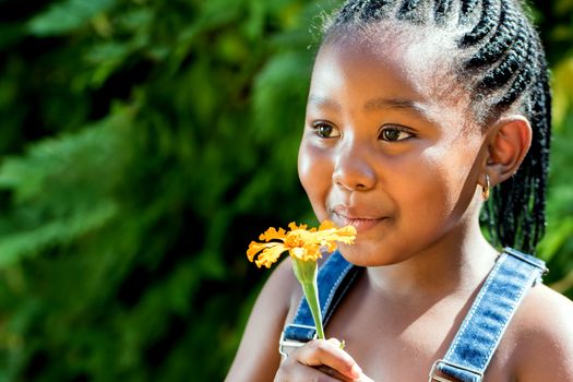 Close up portrait of cute Little african girl blowing at flower outdoors.