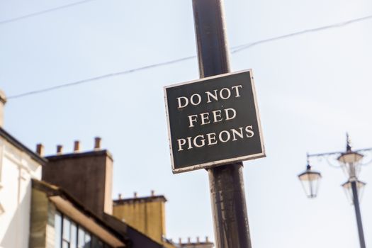 Do not feed the pigeons sign in market place Kendal UK