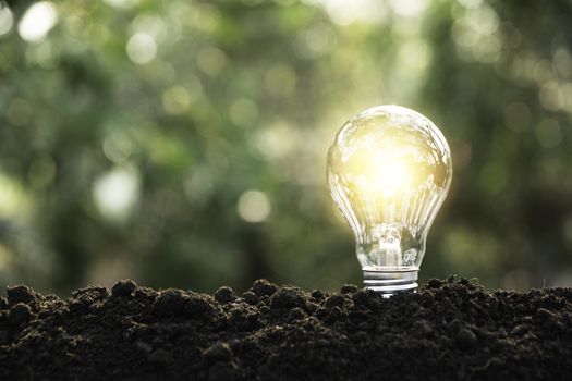 Light bulbs with glowing one. technology and creativity concept with light bulbs and copy space for insert text