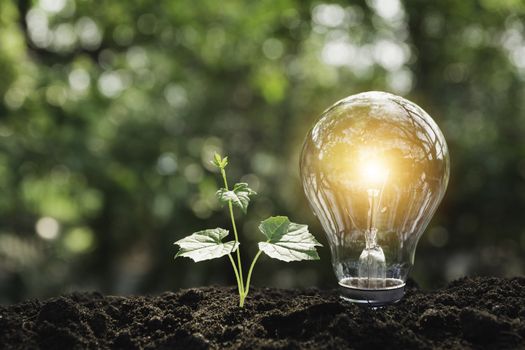 Light bulbs with glowing one. technology and creativity concept with light bulbs and copy space for insert text