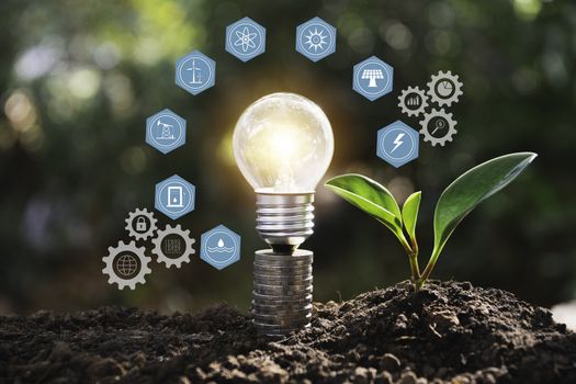 Light bulbs with glowing one. technology and creativity concept with light bulbs and copy space for insert text