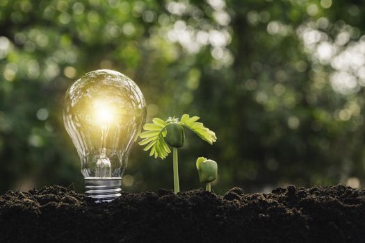 Light bulbs with glowing one. technology and creativity concept with light bulbs and copy space for insert text