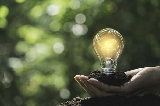 Hand of male holding a light bulb and copy space for accounting, ideas and creative concept.