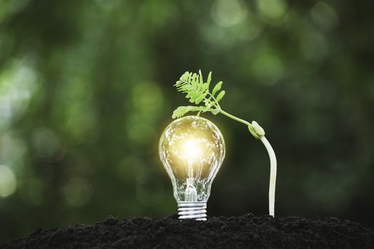 Light bulbs with glowing one. technology and creativity concept with light bulbs and copy space for insert text
