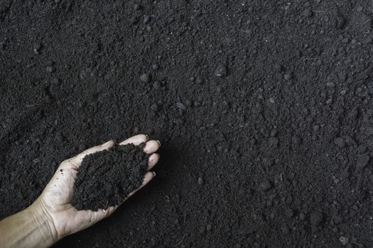 Male holding soil in the hands for planting concept.