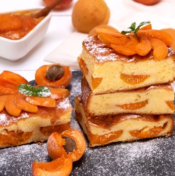 baked pieces of biscuit pie with apricots on a black graphite plate, sponge cake