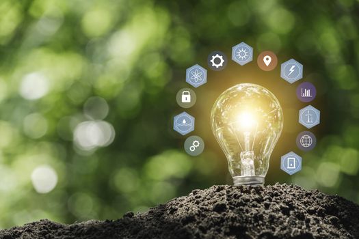 Light bulbs with glowing one. technology and creativity concept with light bulbs and copy space for insert text