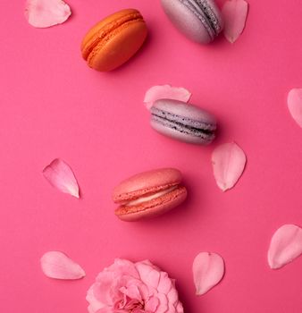 sweet multi-colored macarons with cream and a pink rose bud with scattered petals on a pink background, top view, flat lay