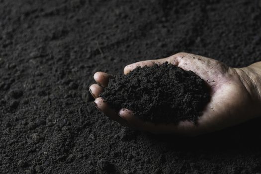 Hand of male holding soil in the hands for planting with copy space for insert text.