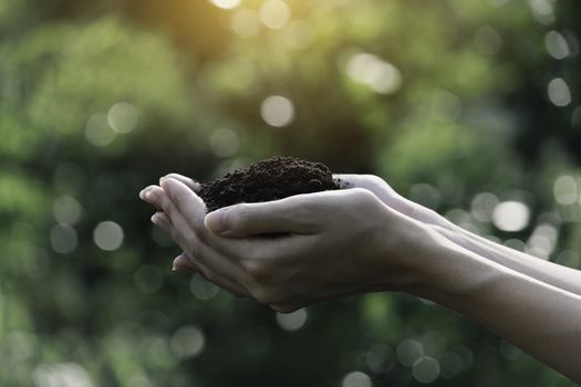 Hand of male holding soil in the hands for planting with copy space for insert text.