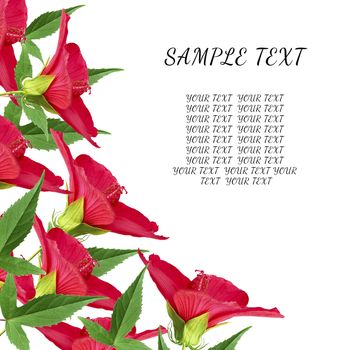 blooming buds of red hibiscus and green leaves, angular layout of the festive background for writing greetings and text, template