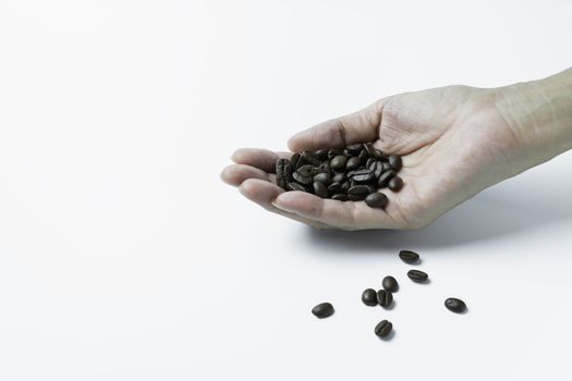 Hand holding coffee beans isolated on white background and copy space