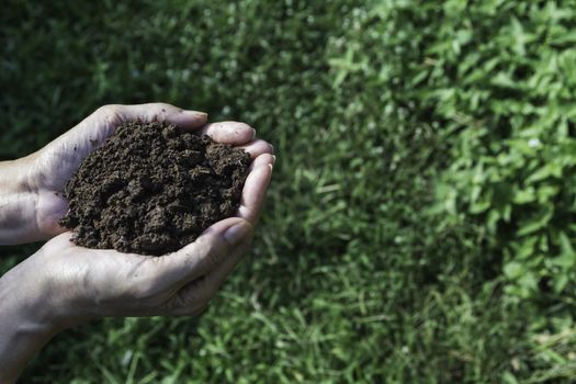 Hand of male holding soil in the hands for planting with copy space for insert text.