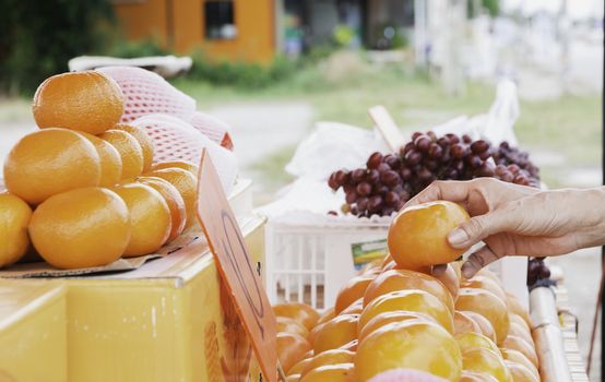 Young woman choosing orange at supermarket. Healthy and lifestyle concept.