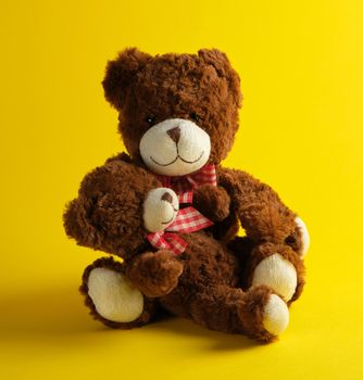 two brown teddy bears on a yellow background, family concept