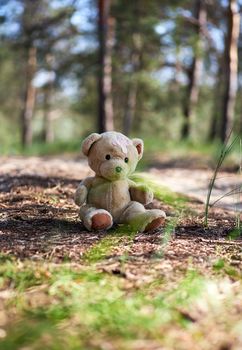 abandoned brown teddy bear sitting in the middle of the forest in the evening,  concept of loneliness