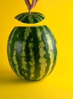 big ripe oval green watermelon and a female hand holds a cut piece, yellow background